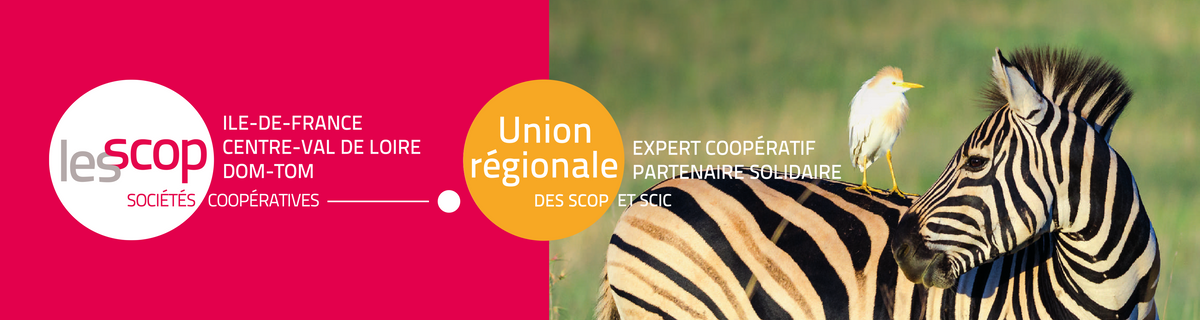 bandeau-urscop-icd-zebre