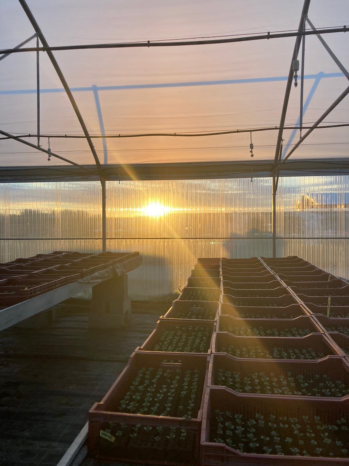 inauguration-ferme-envol-4